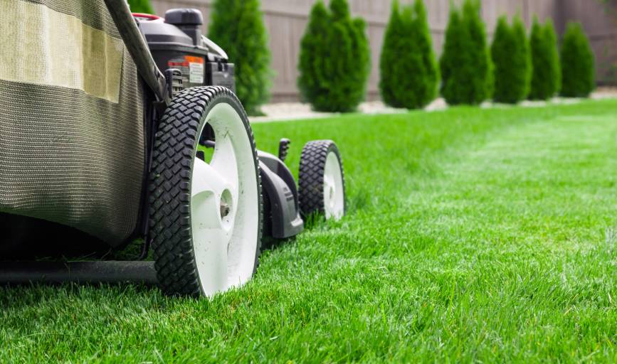 Lawn Mowing