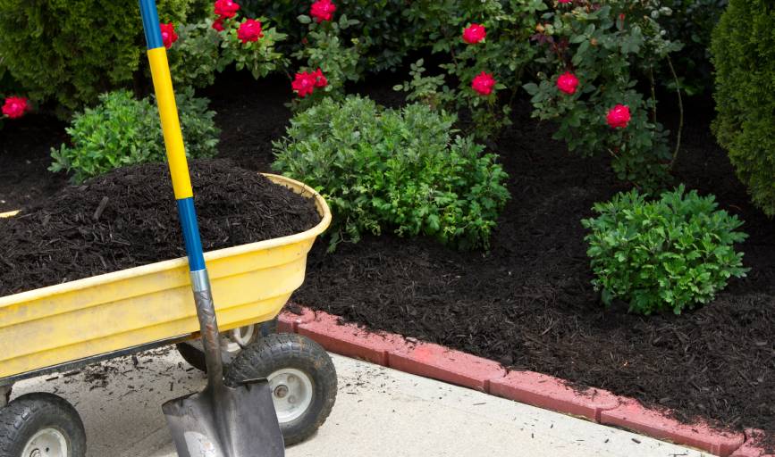 Mulch Installation